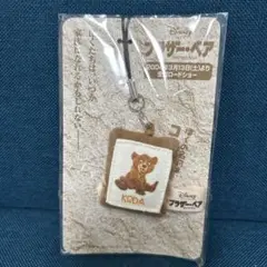 Disney 非売品 ブラザーベアー携帯クリーナー