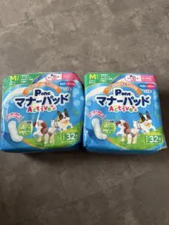 Item thumbnail for item 182bb219-1ecd-4004-962f-a789463120ae