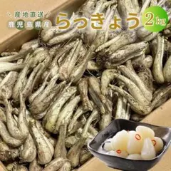 毎年人気！鹿児島産 らっきょう 2kg パリッと食感！579 - メルカリ