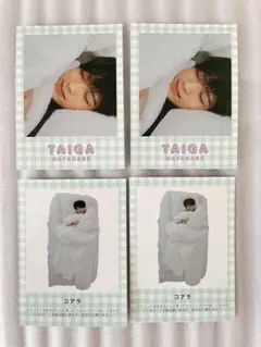 渡邉大我 厚紙 寝顔カード Myojo 2026年2月号