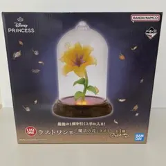 ディズニープリンセス一番くじ 魔法の花ライトラストワン賞 おまけ付（写真6枚目）