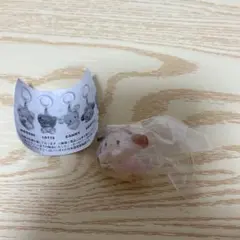 mikkocharacters めじるしアクセサリー2 スフレ