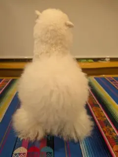 アルパカのぬいぐるみ 中型 ホワイト 横２４cm　立て２８cm
