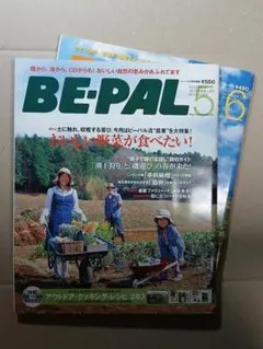 BE-PAL 2007/5 No.311+2007/6 No.312