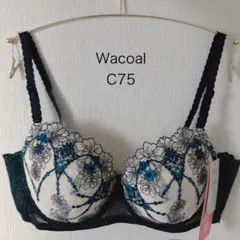 【匿名配送】Wacoal ブラジャー ショーツC75 L 2025年最新】c75 ワコールの人気アイテム - メルカリ
