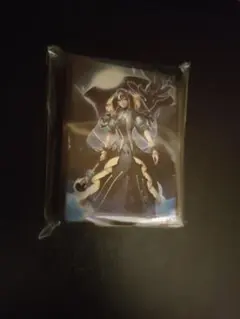 遊戯王OCG デュエルモンスターズ 閉ザサレシ世界ノ冥神カードスリーブ未開封