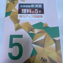 Item thumbnail for item 7a271306-7f3e-46e8-884b-65dcb25cb5c9