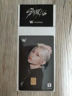 Stray Kids WOWPASS オール 集合 ワオパス 新品未開封 スキズ - メルカリ