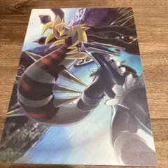 希少 ポケモンセンター　限定 ディアルガ ギラティナ ファイル　レア 期間限定お値下げ中】オフィシャルコレクションファイル ギラティナVS