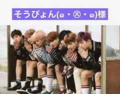 そうぴょん(๑・㉨・๑)様専用