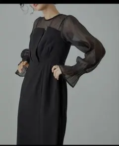 niana エレガント ブラックドレス シースルー袖