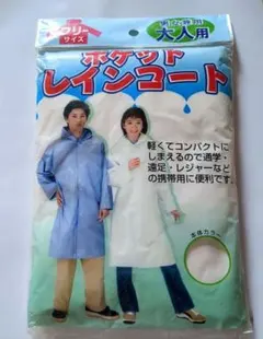 Item thumbnail for item 0b2bb0ad-02b8-464e-b48f-83484f0aecba