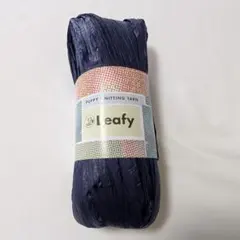 Item thumbnail for item df7815c8-be9f-4c90-b3c3-dbd91f2000f1