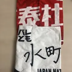 ウルフドッグス 名古屋25-26シーズン ピックアップ選手 タオル 上林