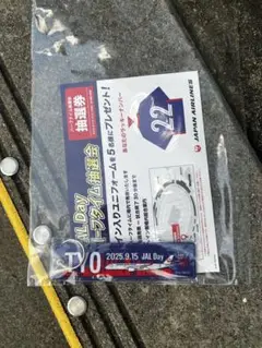 FC東京　入場特典　9/15 フライトタグ