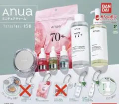 Anua（アヌア） ミニチュアチャーム
