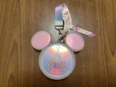 ディズニーランド　40周年　ミニスナックケース　中古