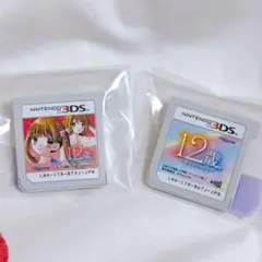 12歳　3DSソフト 2個セット