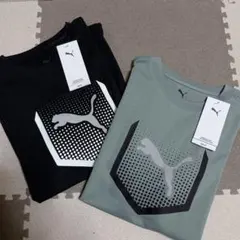 新品タグ付　160cm PUMAプーマTシャツ 2枚セット