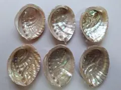 Item thumbnail for item 8290136f-4120-440e-b936-5855cf13364e