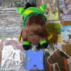 サラコレ ボールチェーンマスコットぬいぐるみ ウィルソンテソーロ号