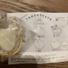 うちの子のけだまだま　犬のけだまだま　柴犬