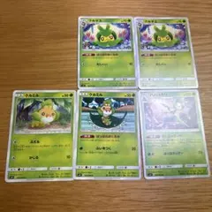 ポケモンカード クルミル3形態 まとめ売り5枚 クルマユ ハハコモリのサムネイル