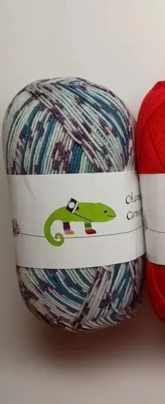 Chameleon Camera 毛糸