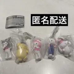 【全5種】サンリオキャラクターズ　 ミニチュアチャーム　～ライブキャラクター～