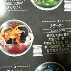 ポケモン Terrarium Collection 15 フィギュア　リザードン