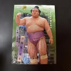 Item thumbnail for item c1050556-59eb-4cca-80da-c496ee55b3c9