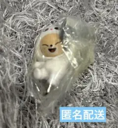 straykids SKZOO つまつな ジニレット フォクシニー