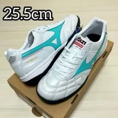 ペイントカスタム MIZUNO ミズノ モレリアtf 25.5cm サラ