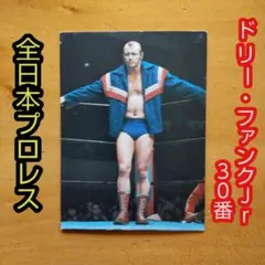 2025年最新】ドリーファンクの人気アイテム - メルカリ