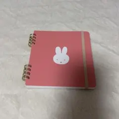 Item thumbnail for item 60c900c7-8d4a-4697-b4fe-87f667303bab