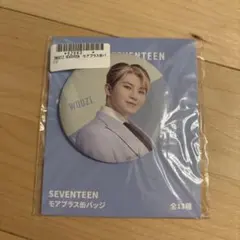 SEVENTEEN モアプラス缶バッチ ウジ