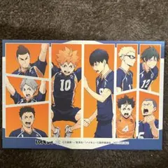 ハイキューポストカード烏野日向影山菅原大地山口西谷月島旭