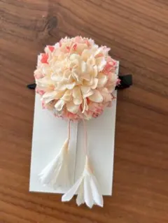 Item thumbnail for item 4aa60d90-0fcf-4dad-94d1-dfa99162aec8