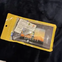 Item thumbnail for item a6994c46-814e-4f7f-9d08-1822f2900fdf