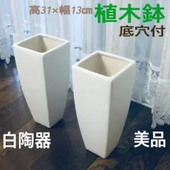 白陶器製 植木鉢 鉢カバー 2個セット