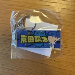 横浜DeNAベイスターズ　京田陽太　ネームアクリルキーホルダー