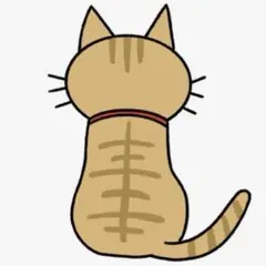 優. 様　　　(=^x^=)専用