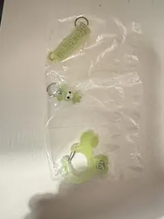 TWICE カラナビ　ジョンヨン