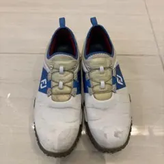 フットジョイ シューズ