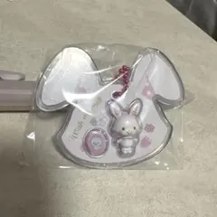 サンリオ パッケージチャーム＆チョコボーロ　ウィッシュミーメル