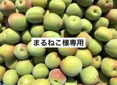 【まるねこ様専用】和歌山県産　南高梅　約5㎏