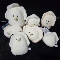 つぶらな瞳の和食屋