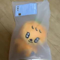 ミニティーン MINITEEN スングァン