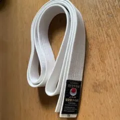 Item thumbnail for item 05547ce9-65ea-4d15-8520-f12d24fea0b4