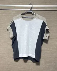 ZARA W&B COLLECTION カラーブロックカットソー